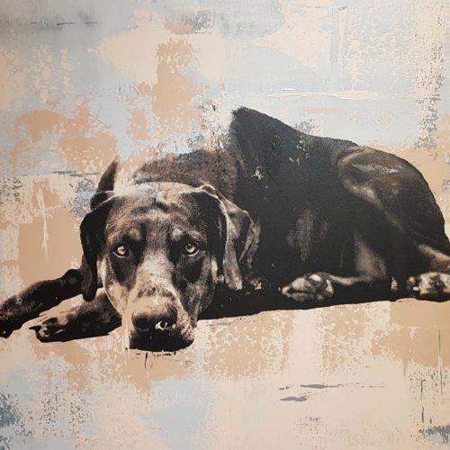 Dobermann Hund Acryl Gemälde